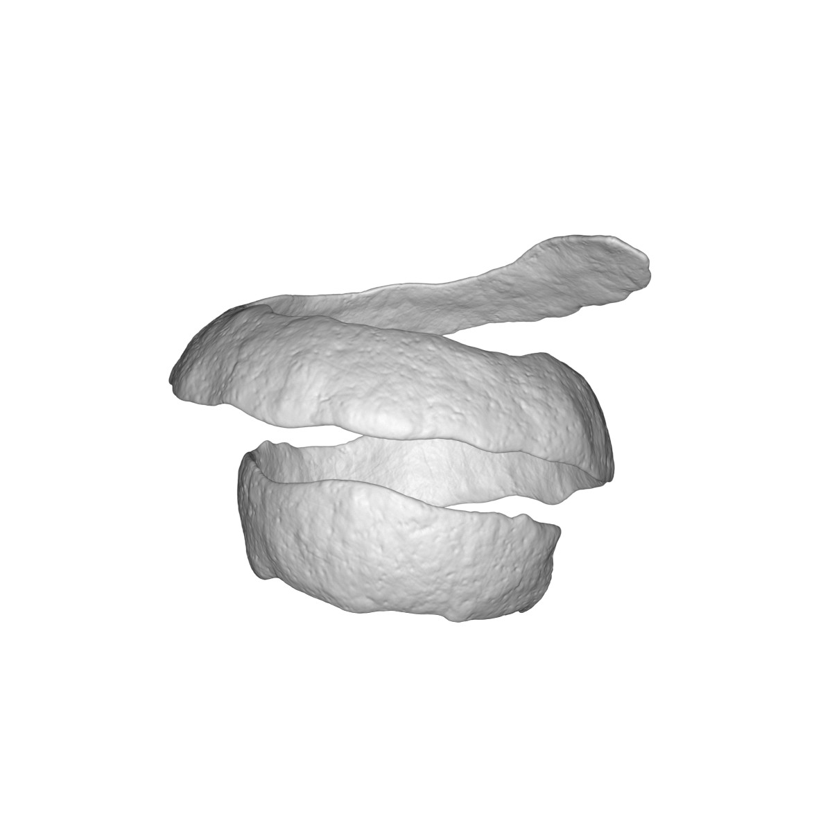 Lemon peel 04
